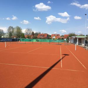 Herzlich Willkommen beim TC Niederschopfheim